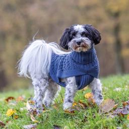 Trixie Stickad Pullover Sweater For The Dog Design Norwood Blue